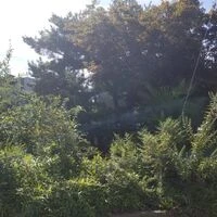 画像1351：ただいま準備中でございます